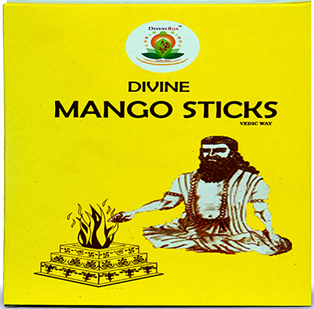 Divine Bija Mango Sticks for Havan Divine Bija (Vedic Way) | A story of motivation, passion and unconditional commitment