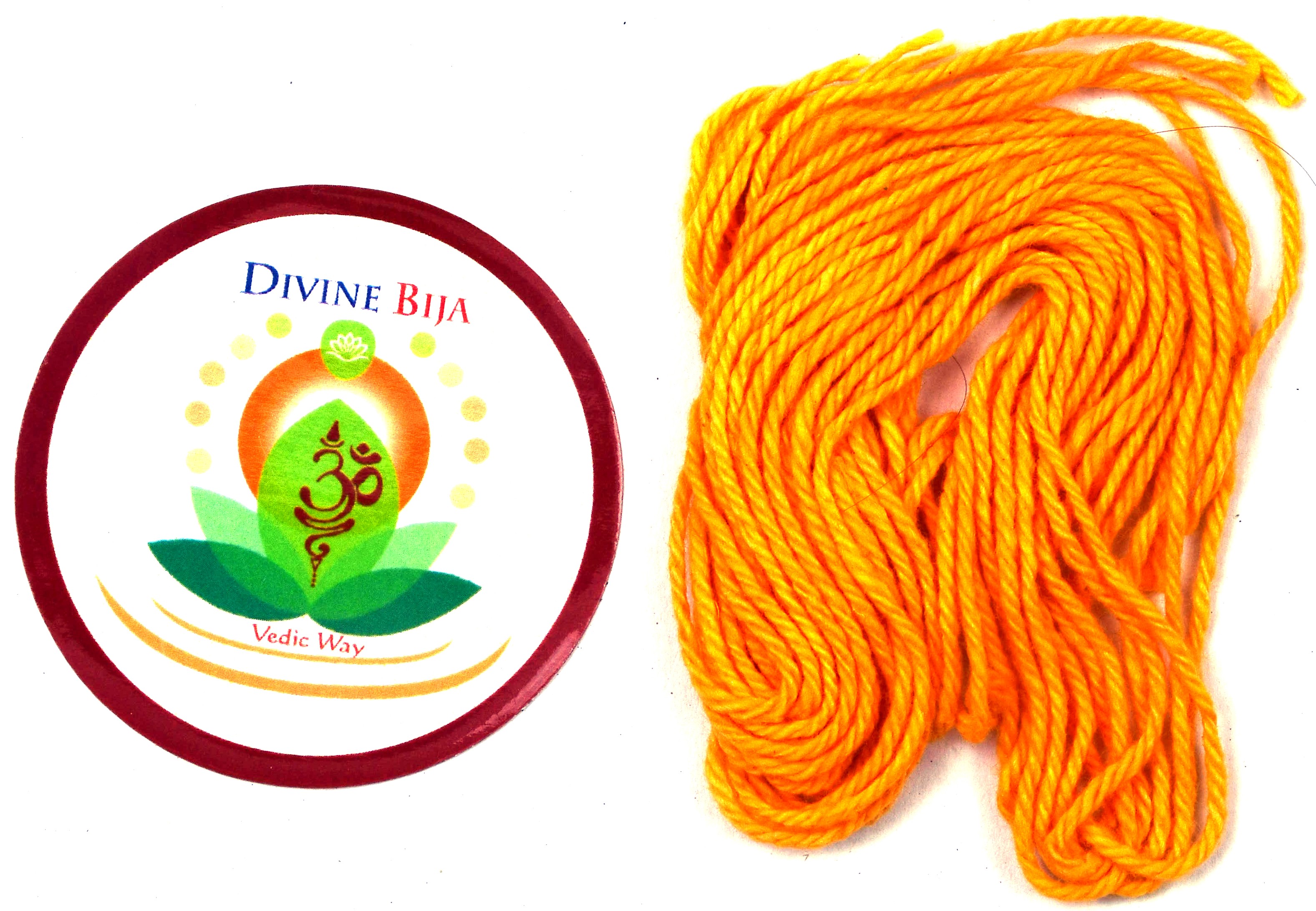 Divine Bija Nonbu Saradu Sacred Thread Divine Bija (Vedic Way) | A story of motivation, passion and unconditional commitment