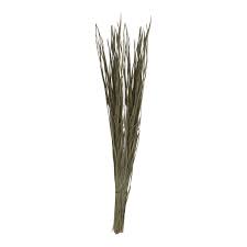 Divine Bija Nuni Darbai / Kusha Grass Divine Bija (Vedic Way) | A story of motivation, passion and unconditional commitment
