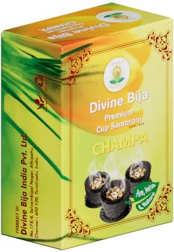 Divine Bija Premium Cup Sambrani Champa Id163 #163/254