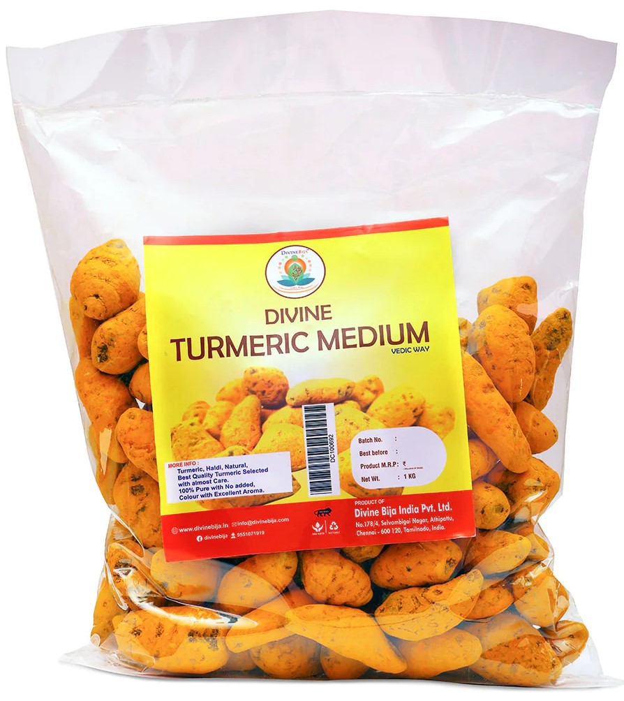 Divine Bija Round Turmeric Medium Divine Bija (Vedic Way) | A story of motivation, passion and unconditional commitment