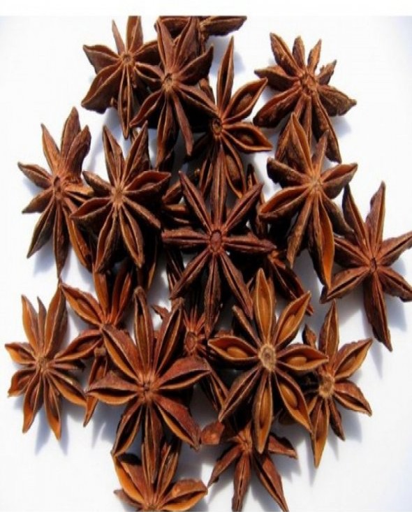 Divine Bija Star Anise Annachi Flower Divine Bija (Vedic Way) | A story of motivation, passion and unconditional commitment