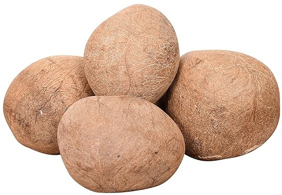 Divine Bija Dry Coconut Divine Bija (Vedic Way) | A story of motivation, passion and unconditional commitment