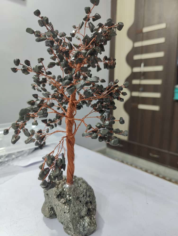 Divine Bija Green Jade Wealth Tree Divine Bija (Vedic Way) | A story of motivation, passion and unconditional commitment
