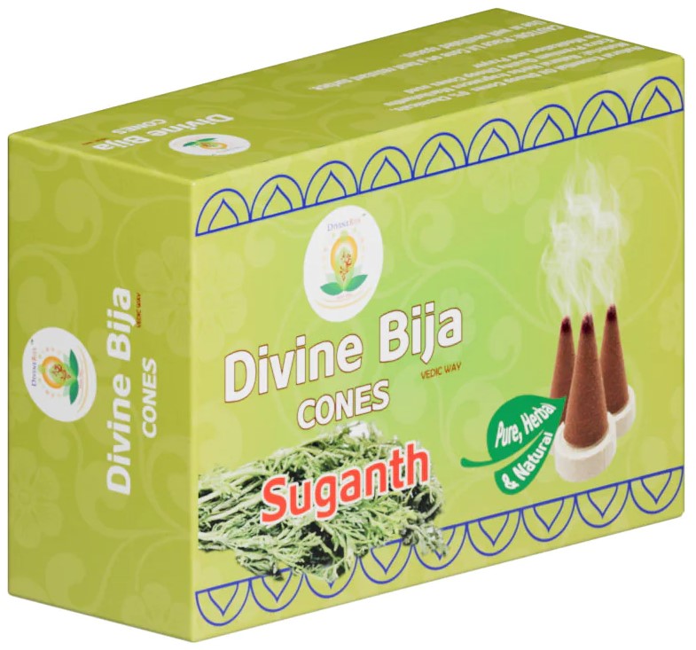 Divine Bija Incense Dhoop Cones | Sugandh | Id95 #95/254